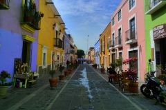 Puebla - LIVIT Immersion Center